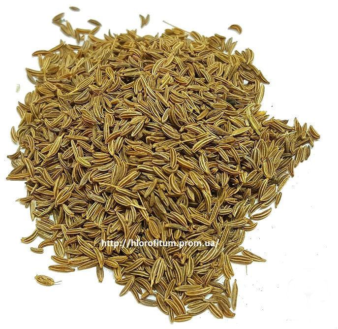 Семена тмина 50 грамм (Тмин обыкновенный) - фото 2 - id-p16292782