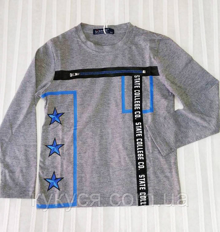 Трикотажний реглан на хлопчика, фото 1