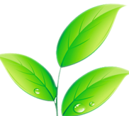 Захист рослин від хвороб та шкідників