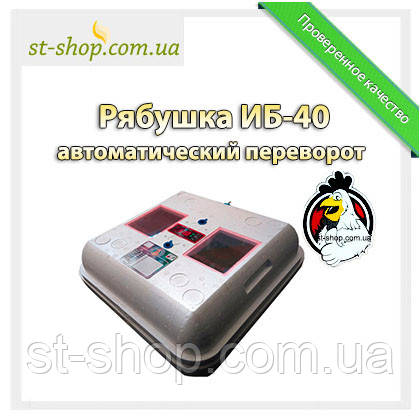 Інкубатор "Рябочка-ІБ 40" автоматичний переворот