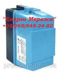 Пускач ПМЛ 1110Д 110В страж.Б
