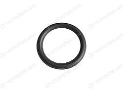 Кільце круглого перерізу   100-110-50-2-2 (Ц110-1414043/110х0,5)