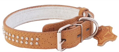 Нашийник для собак