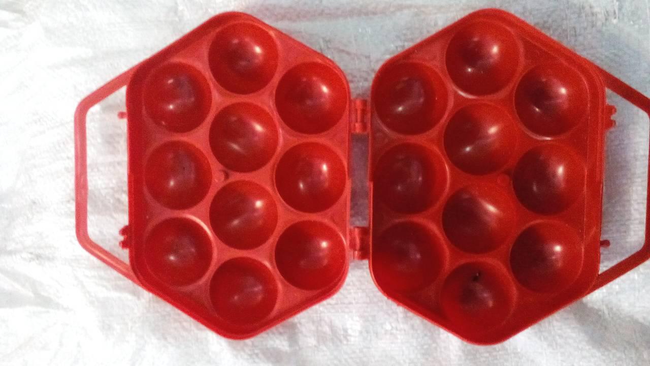 Лоток для яєць на 10шт