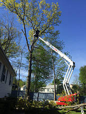 Самохідний колінчастий підіймач Dino 265 RXT, фото 4