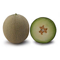 Насіння дині KS 7044 F1 100 насіння Kitano seeds