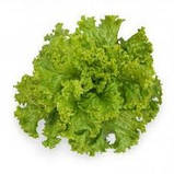 Насіння салату Австралійський 2 г середньостиглий, фото 2