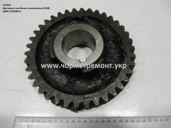 Шестірня пост. зчеп. валу пром. 236Н-1701056-А (Z=38)