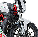 Benelli TNT25, фото 4