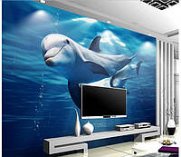 3D фотообои "Дельфины"