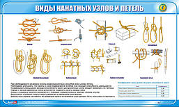 Стенд. Види канатних вузлів та петель. 1,0х0,6. Пластик