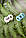 Elodie Details — Пустушка Dragon Fly, фото 4