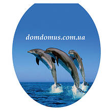 Сидіння м'яке з кришкою для унітаза Aqua Fairy, UE1601