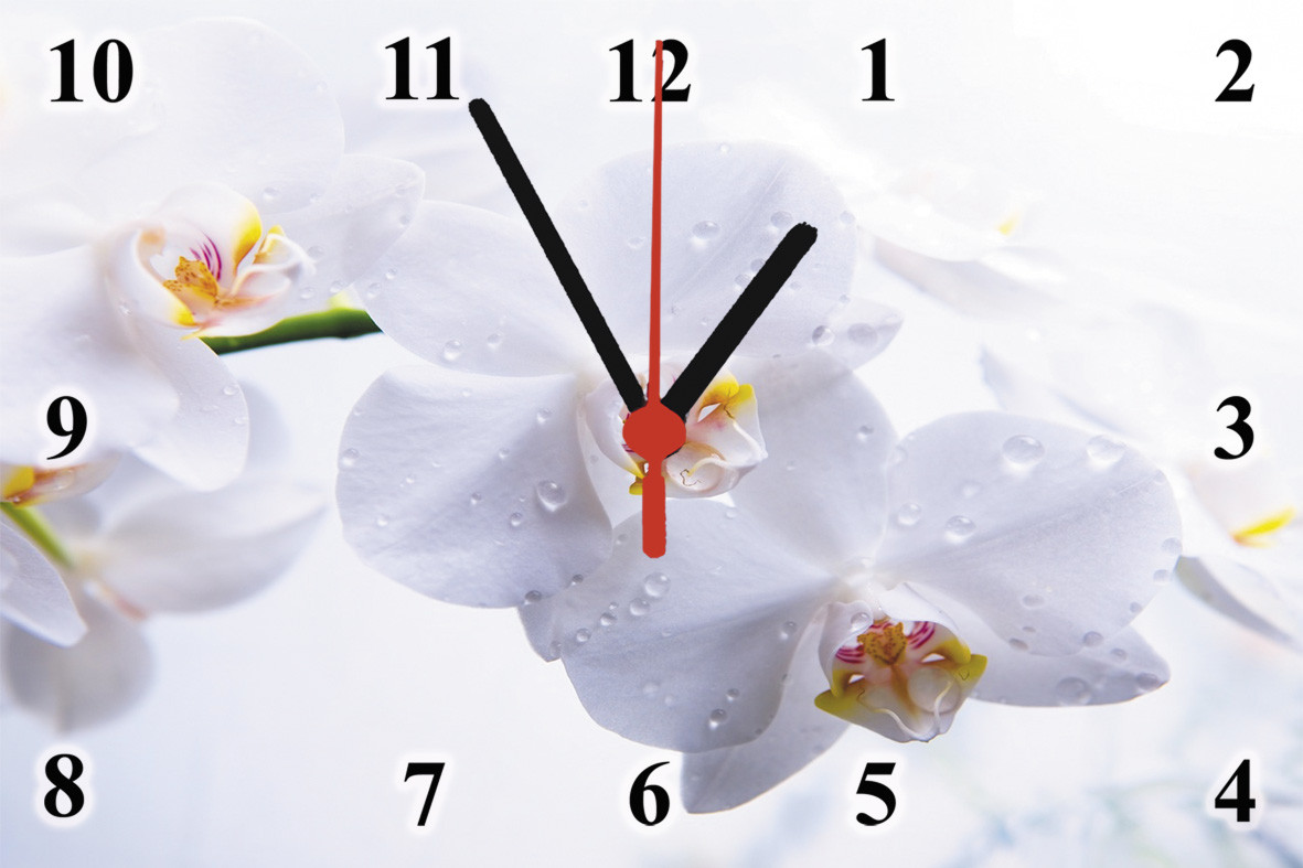 Часы настенные стеклянные "Белая орхидея" - фото 1 - id-p160809691