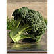 Насіння капусти броколі Еос F1/Eos F1 1000 насіння Sakata, фото 2