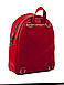 Рюкзак, фото 4