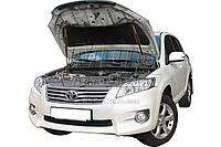 Газовый упор капота Toyota Rav4 3g (2010-2013) (2 шт)