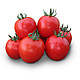 Насіння томату Асвон F1/Aswan F1 10.000 насіння Kitano Seeds, фото 3
