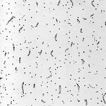 Плита Armstrong "Bajkal" 600х600х12мм Код УКТ ЗЕД 6806900000 (20шт/уп, 40шт/пал)