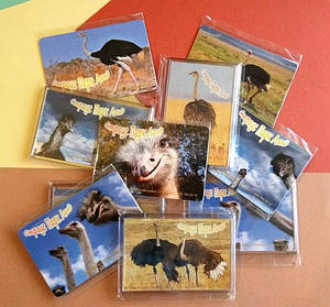 Акриловые и виниловые магниты с фото на заказ. Размер 95х65 мм 1