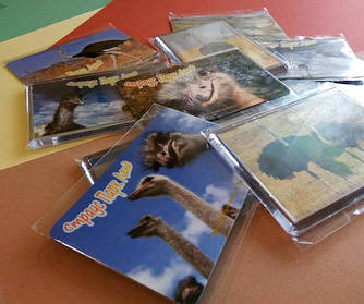 Акриловые и виниловые магниты с фото на заказ. Размер 95х65 мм 6