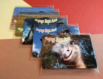 Акриловые и виниловые магниты с фото на заказ. Размер 95х65 мм 2