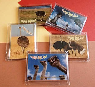 Акриловые и виниловые магниты с фото на заказ. Размер 95х65 мм 4