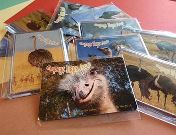 Акриловые и виниловые магниты с фото на заказ. Размер 95х65 мм 5