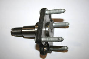 Ступиця АВЕО задня ліва (шпиндель) GM