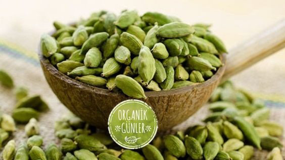 зеленый кардамон