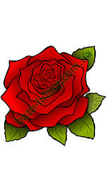 Стимулятори