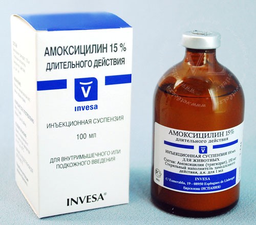 Амоксициллин 15% 250 мл Invesa (Испания) пролонгированный антибиотик широко спектра действия - фото 1 - id-p590689342