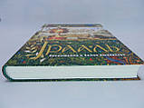 плодував І. Грааль. Присвятивши себе в біле лицарство (б/у)., фото 5