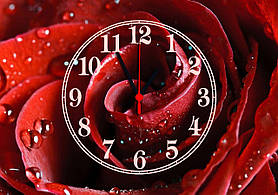 Часы настенные стеклянные Т-Ок 009 Большая красная роза SG-35050011