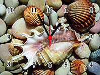 Часы настенные стеклянные "Морские ракушки и камушки" Т-Ок 007 SG-3004008