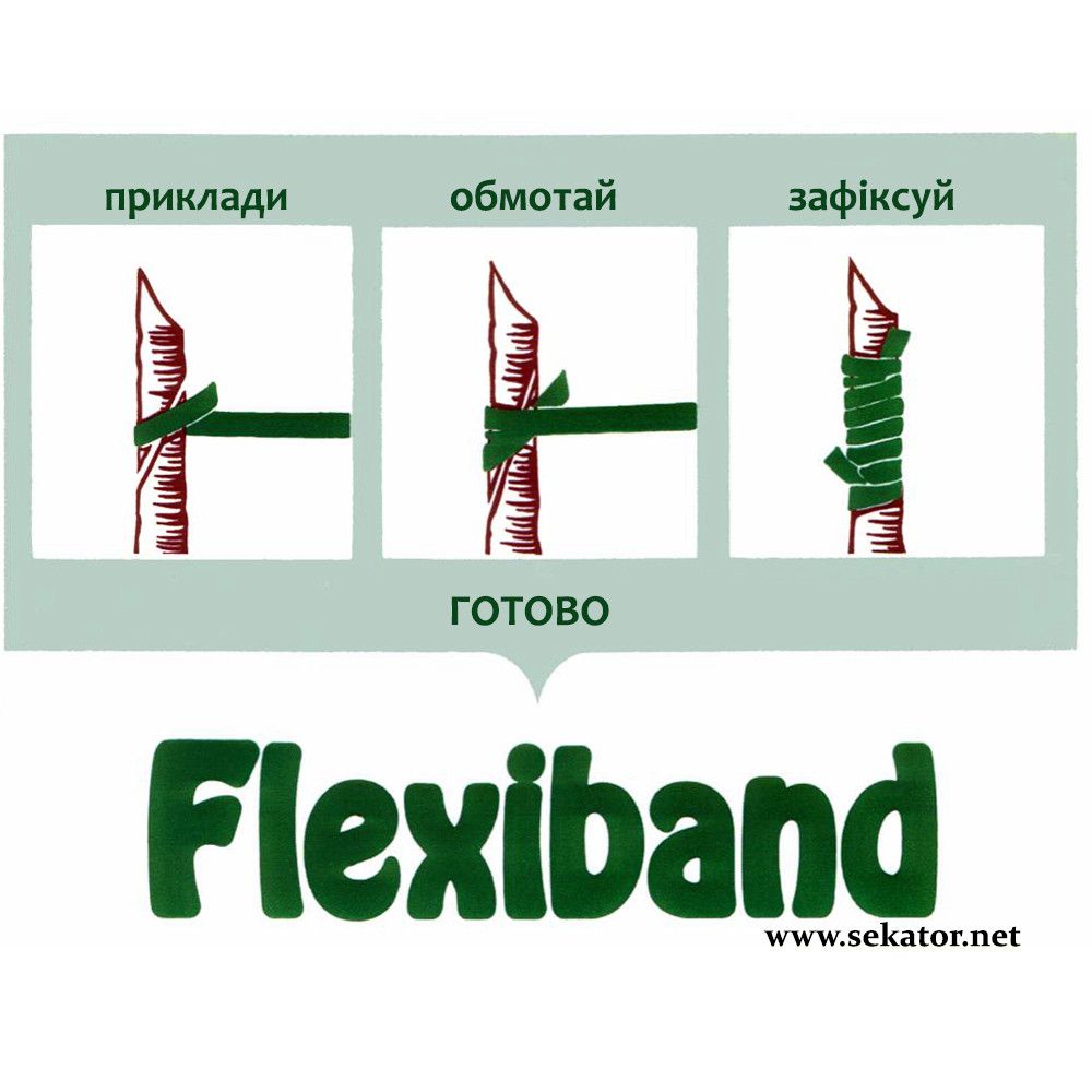Каучукові гумки для щеплення Flexiband / Флексібенд (Німеччина)