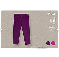 Штани для дівчаток Бембі ШР361 мікровельвет 86 колір фіолетовий