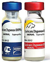 Эурикан DHPPi2+LR Eurican вакцина для собак (чума, гепатит, парвовирус, аденовирус, бешенство)