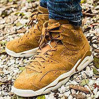 Air Jordan 6