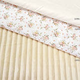 Плюш мінки stripes ванільний у смужку, ширина 83 см, (310 г/м), фото 6