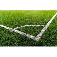 Розмічальна Машина для футбольного поля Yakimasport (100203), фото 2