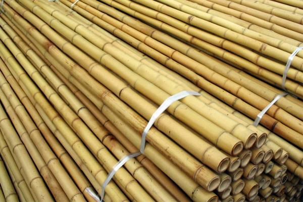 Бамбукові опори - бамбукові кілки для саду 295 см