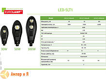 Світлодіодний світильник вуличний класичний COB 50 W 5500 LM 6000 K EUROLAMP LED, фото 2