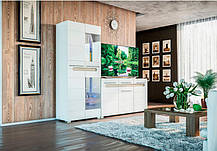 Вітрина Б'янко 2ДСк 1850х800х400мм білий глянець Світ Меблів, фото 5