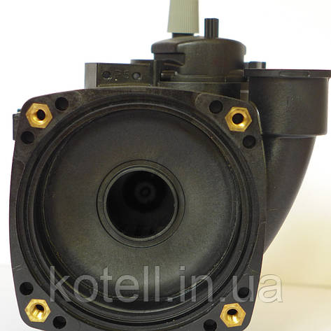 1.028554 Улитка НАСОСА Immergas Mini Nike 243E, Mini Eolo 243E, Nike Star 24 3E, Eolo Star 24 3E 1.028554., фото 1