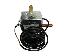 Термостат робочий (TY) для газового котла Protherm (0020025281)