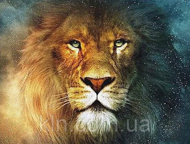 Набір алмазної вишивки Лев KLN 30 х 40 см (арт. FS185), фото 1