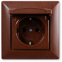 Gunsan Visage Горіх Розетка із заземленням із кришкою