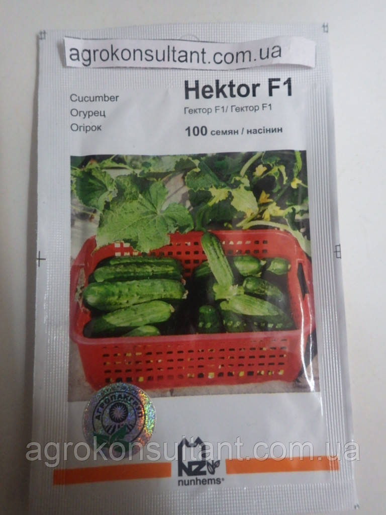 Насіння огірка Гектор F1 (Nunhems/Агропак+), 100 насіння — бджолинозапальний, ультрародний гібрид (40-44 дні)