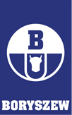 boryszew logo